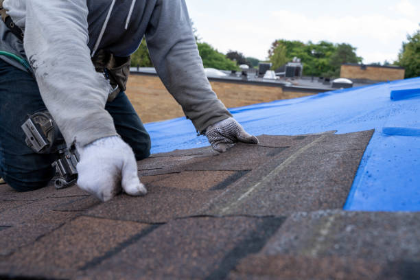 Best Metal Roofing Contractor  in Douglas, WY