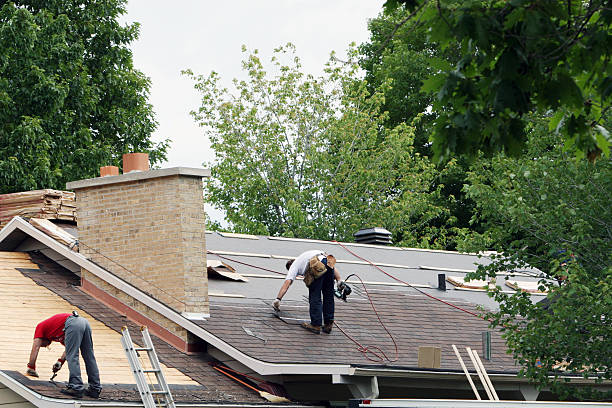Best Roof Maintenance Services  in Douglas, WY