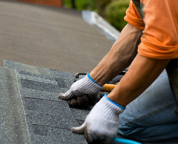 Best Gutter Installation and Roofing  in Douglas, WY